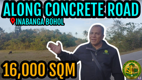 Lot For Sale Inabanga Bohol 16,000 Sqm Propertyph
