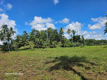 Load image into Gallery viewer, 2 has with ricefield, mahogany and coconut trees at Balilihan Bohol