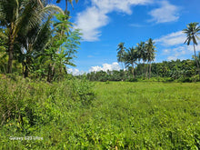 Load image into Gallery viewer, 2 has with ricefield, mahogany and coconut trees at Balilihan Bohol