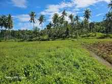 Load image into Gallery viewer, 2 has with ricefield, mahogany and coconut trees at Balilihan Bohol