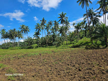 Load image into Gallery viewer, 2 has with ricefield, mahogany and coconut trees at Balilihan Bohol
