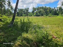 Load image into Gallery viewer, 2 has with ricefield, mahogany and coconut trees at Balilihan Bohol