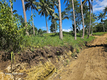 Load image into Gallery viewer, 2 has with ricefield, mahogany and coconut trees at Balilihan Bohol