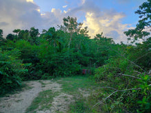 Load image into Gallery viewer, Lot for sale 88,000 sqm clean title Sagbayan Bohol 80/sqm negotiable