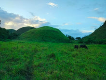 Load image into Gallery viewer, Lot for sale 88,000 sqm clean title Sagbayan Bohol 80/sqm negotiable