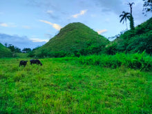 Load image into Gallery viewer, Lot for sale 88,000 sqm clean title Sagbayan Bohol 80/sqm negotiable