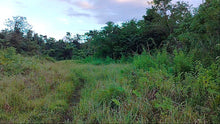 Load image into Gallery viewer, Lot for sale 88,000 sqm clean title Sagbayan Bohol 80/sqm negotiable