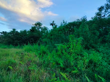 Load image into Gallery viewer, Lot for sale 88,000 sqm clean title Sagbayan Bohol 80/sqm negotiable