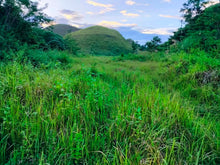 Load image into Gallery viewer, Lot for sale 88,000 sqm clean title Sagbayan Bohol 80/sqm negotiable