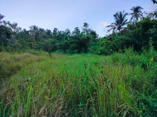 Load image into Gallery viewer, Lot for sale 88,000 sqm clean title Sagbayan Bohol 80/sqm negotiable