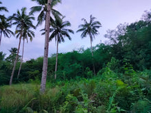 Load image into Gallery viewer, Lot for sale 88,000 sqm clean title Sagbayan Bohol 80/sqm negotiable
