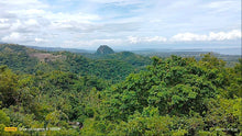 Load image into Gallery viewer, Overlooking seaview lot for sale 6,576 sqm clean title Tubigon Bohol 800/sqm negotiable
