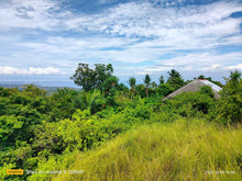 Load image into Gallery viewer, Overlooking seaview lot for sale 6,576 sqm clean title Tubigon Bohol 800/sqm negotiable