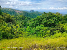 Load image into Gallery viewer, Overlooking seaview lot for sale 6,576 sqm clean title Tubigon Bohol 800/sqm negotiable
