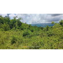 Load image into Gallery viewer, Cebu overlooking to the sea lot for sale and near white sand beaches in Badian