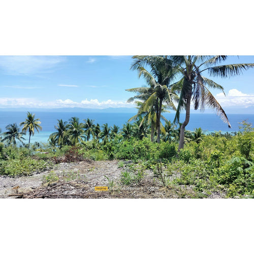 Cebu overlooking to the sea lot for sale and near white sand beaches in Badian