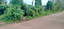 Load image into Gallery viewer, Lot For Sale Trinidad Bohol With 1,500 Square Meter