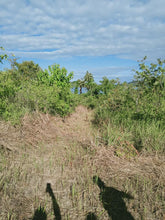 Load image into Gallery viewer, Beach lot for sale  12,000 sqm clean title Ubay Bohol 9m