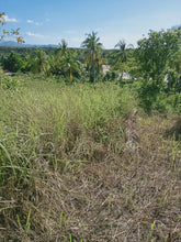 Load image into Gallery viewer, Beach lot for sale  12,000 sqm clean title Ubay Bohol 9m