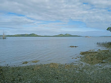 Load image into Gallery viewer, Beach lot for sale  12,000 sqm clean title Ubay Bohol 9m