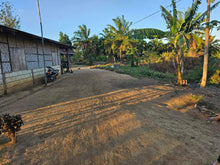 Load image into Gallery viewer, Lot For Sale In Ubay Bohol 3,000 Sqm Propertyph.net