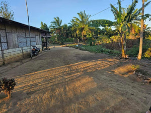 Lot For Sale In Ubay Bohol 3,000 Sqm Propertyph.net