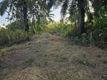 Load image into Gallery viewer, Lot For Sale In Ubay Bohol 3,000 Sqm Propertyph.net