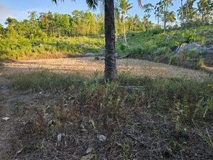 Lot For Sale In Ubay Bohol 3,000 Sqm Propertyph.net