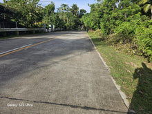 Load image into Gallery viewer, 11,762 sqm lot for sale with coconut trees at Tubigon Bohol