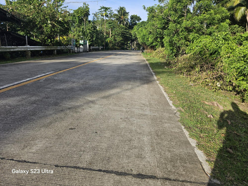 11,762 sqm lot for sale with coconut trees at Tubigon Bohol