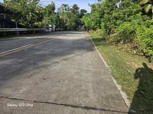 11,762 sqm lot for sale with coconut trees at Tubigon Bohol