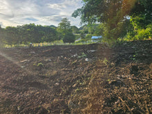 Load image into Gallery viewer, Rush sale overlooking seaview lot near highway &amp; beaches , Guindulman Bohol