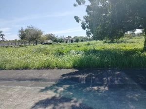 Amara Seafront Subdivision Lot For Sale Liloan Cebu 607 Sqm Propertyph