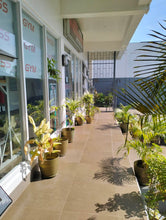 Load image into Gallery viewer, Commmercial Income Generating Property for Sale – Prime Location in Bogo City, Cebu
