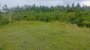 Seafront lot for sale 2,564 sqm clean title at 380,000 net