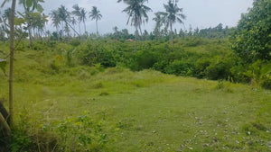 Seafront lot for sale 2,564 sqm clean title at 380,000 net