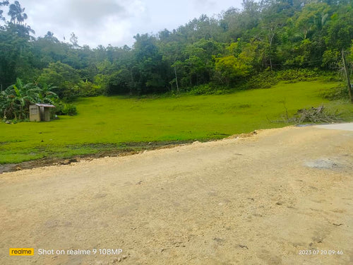 4,601 sqm With Clean Title at Corella Bohol 700/sqm