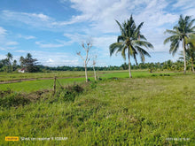 Load image into Gallery viewer, 49.6 hectares along highway at 250/sqm negotiable