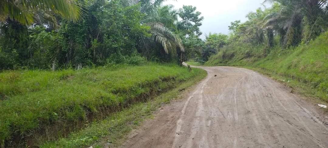 Lot for sale 21 hectares expandable at 60 hectares or more Buenavista Bohol 100/sqm