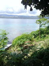 Load image into Gallery viewer, Beach lot for sale 1,500 sqm title Guindulman Bohol 12m negotiable