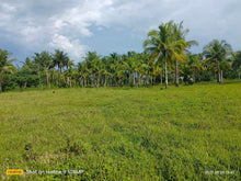 Load image into Gallery viewer, 49.6 hectares along highway at 250/sqm negotiable