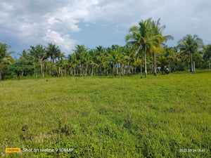 49.6 hectares along highway at 250/sqm negotiable