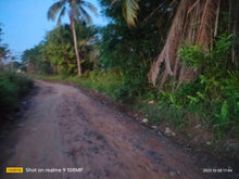 Load image into Gallery viewer, 10 hectares near highway at 250/sqm at Trinida Bohol..