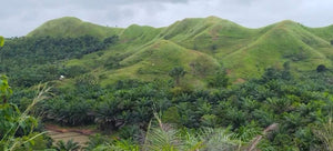 Lot for sale 21 hectares expandable at 60 hectares or more Buenavista Bohol 100/sqm