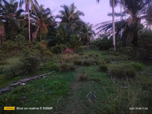 Load image into Gallery viewer, 10 hectares near highway at 250/sqm at Trinida Bohol..