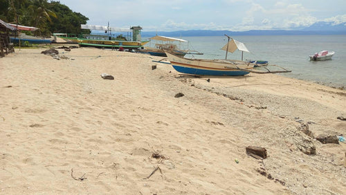 White Sand Beach Lot for Sale – Aloguinsan, Cebu