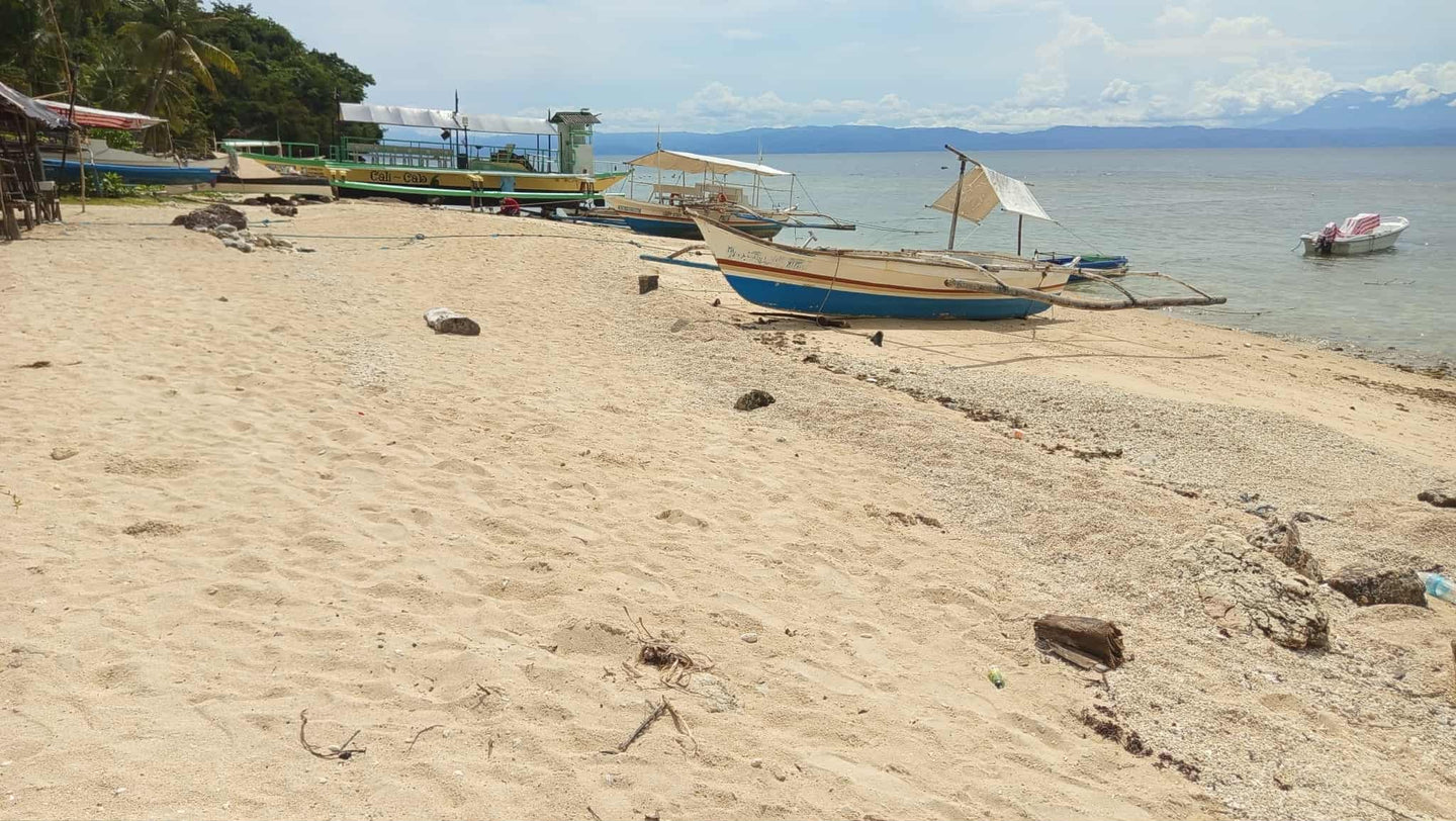 White Sand Beach Lot for Sale – Aloguinsan, Cebu