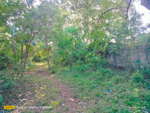 Load image into Gallery viewer, Lot for sale 1.4 hectares, clean title second lot from highway Lourdes Bohol Panglao Island