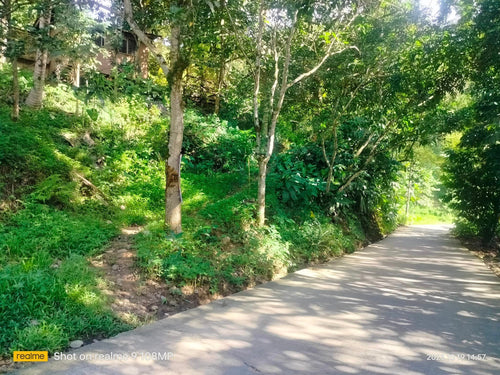 Lot for sale 5,028 sqm at Binaliw Cebu City 650/sqm negotiable