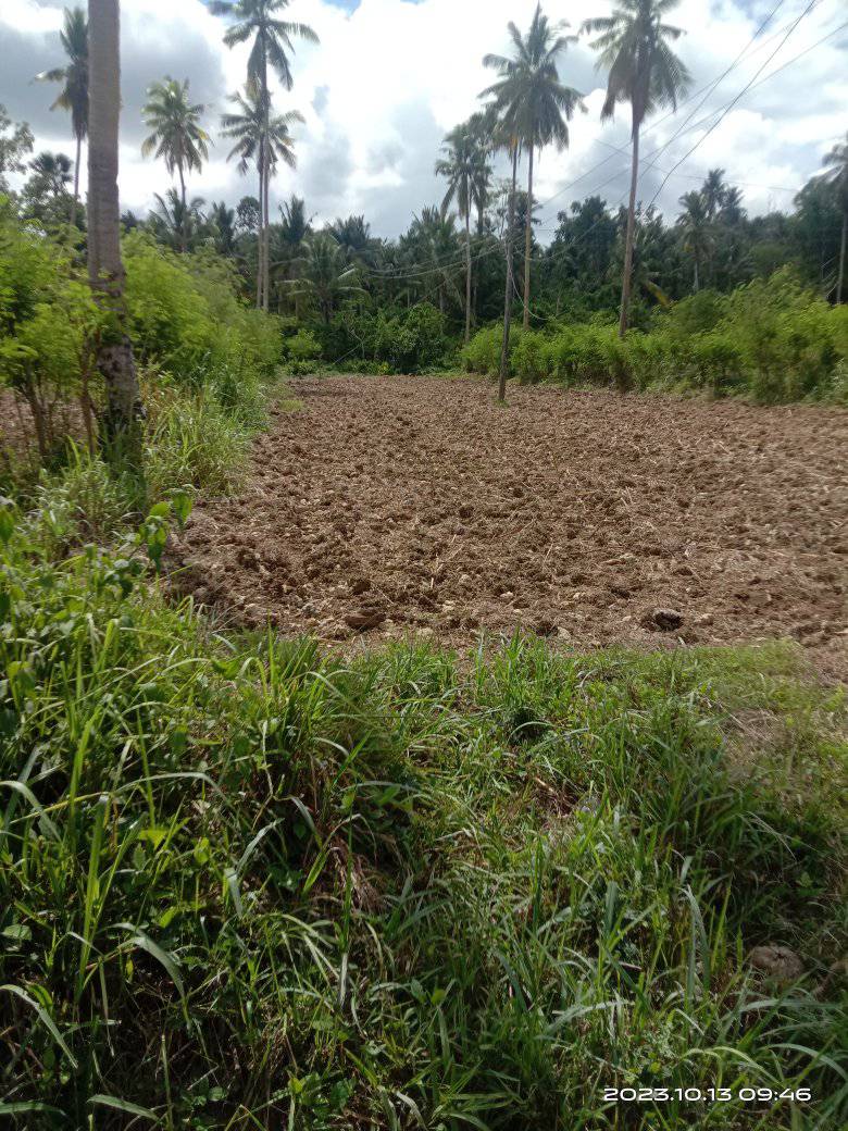 Lot for sale 62,318 sqm clean title Dumanjug Cebu 250/sqm net